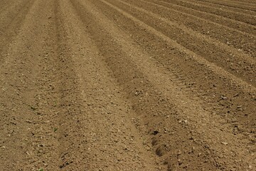The endless ranks of the beds are ready for the growth of the new crop. 