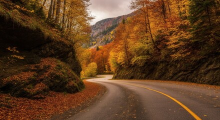 Naklejka premium serene autumn road with vibrant foliage