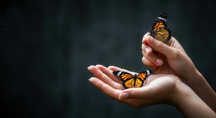 Serene moment with vibrant monarch butterflies on delicate hands