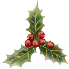 Watercolor illustration of Christmas holly on a white background. Perfect for holiday designs, greeting cards, and festive decor. This artwork is ideal for Christmas cards, holiday wrapping paper