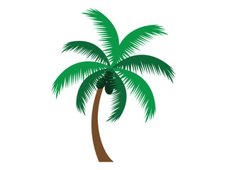 A palm tree silhouette with a white background.