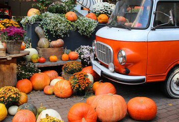 Lots of pumpkins and an orange bus