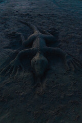 Sand sculpture of a lizard on beach