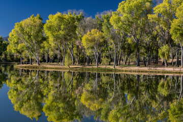 Dead Horse Sate Park in Arizona