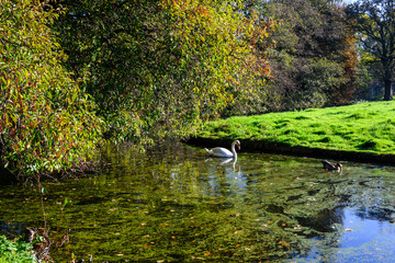 Autunno nel Parco a L'Aia, Den Haag, Paesi Bassi