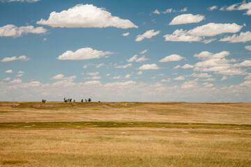 Obraz premium Badlands National Park, South Dakota, Prairie Dog town