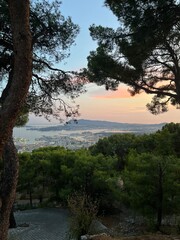 Sunset View city sea Pine Trees Cote d'Azur South of France