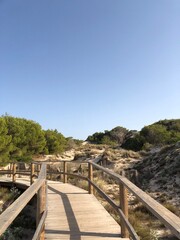 Obraz premium Walk dunes vegetation