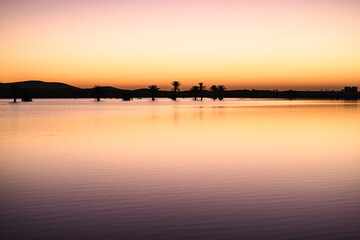 Lake Yasmina and its reflections at sunset, with flooded palm trees against the light and dune landscape on the horizon.  Erg Chebbi. Merzouga. Sahara Desert. Morocco. Africa.