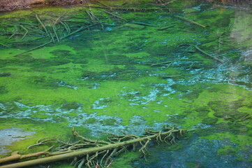 Lac Vert (vallée étroite-Névache)