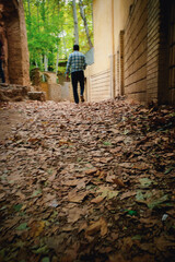 Serene Pathway Through Autumn Leaves