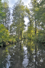 The Spree Forest or Spreewald  large inland delta of the river Spree with canals , Germany