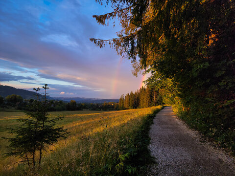 Rainbow on forest road after rain in Zakopane, Poland