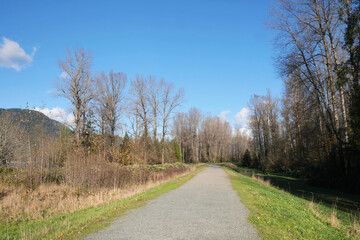 Island 22 Regional Park along Fraser River during a fall season in Chilliwack, British Columbia, Canada