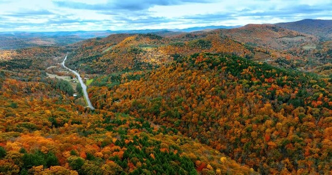 Prevailing orange trees in the woods covering mountainous landscape. Drone footage above colorful forests at Vermont, New England, USA.