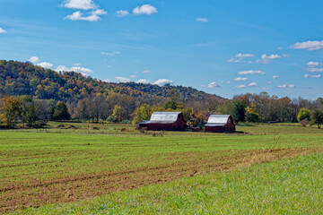 Two red barns in the farm field