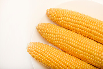 Ripe corn cobs on a white plate. Ripe vegetables.