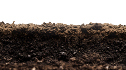 Soil border side view on a transparent background. isolated background.
