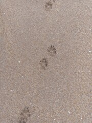 footprints in the sand