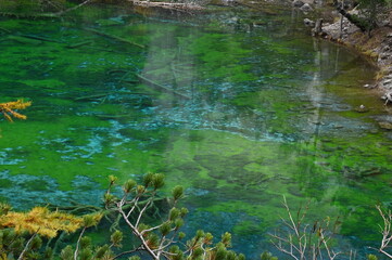Lac Vert &agrave; N&eacute;vache (05)