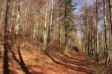 Wanderung am Albtrauf