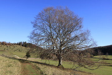 Wanderung am Albtrauf