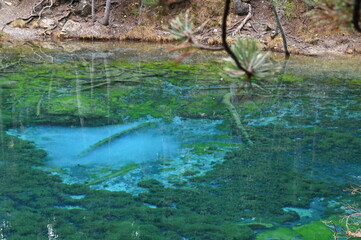 Lac Vert à Névache (05)