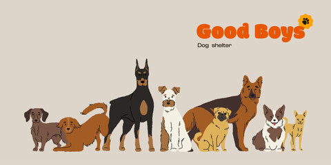 Cute dogs characters. Cartoon domestic puppies banner for dog shelter, funny hand drawn dog mascots different breeds and colors, furry kids pet stickers. Vector isolated set