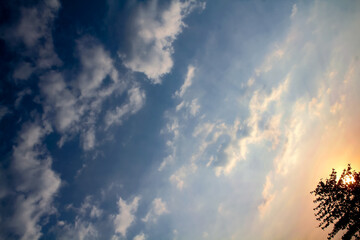 A view of the sky on a bright summer morning with clouds and tall trees.