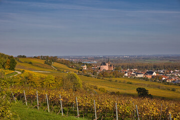 herbstlich bunt gefärbter weinberg bei oppenheim mit Blick auf das Rhein-Main-Gebiet