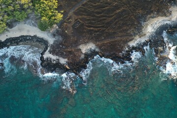 Maui forest meets the lava rocks and ocean