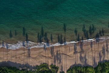 Long palm tree shadows in Wailea Maui on a morning sunrise. Wailea beach