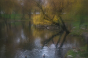 In autumn, the park transforms into a breathtaking scene as leaves turn golden, red, and orange, blanketing the ground in warm colors while a crisp breeze stirs the air.