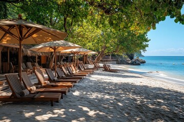 Tropical beach resort offering relaxing loungers under palm trees and umbrellas