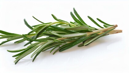 Fototapeta premium Fresh rosemary sprig on white