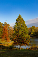 Obraz premium End of the Fall Season