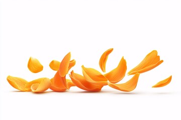 Orange Flower Petals Falling on a White Background - Nature Photography