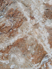 Close-up of natural stone texture with different shades of grey, brown and white. Natural cracks and patterns create a striking and unique texture.