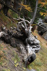 Fototapeta premium Lac Vert à Névache (05)