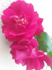 natureza, ar livre, paisagem, montanha, verde, azul, céu, nuvens, mar, oceano, onda, floresta, árvores, água, paz, paraíso, relaxamento, viagem, portugal, madeira, ilha da madeira