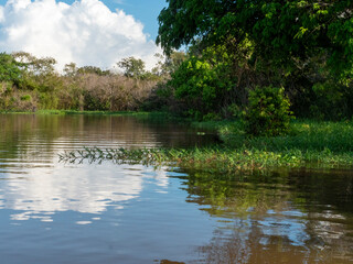 Amazon river landscape near the community of Anama.