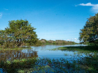 Amazon river landscape near the community of Anama.