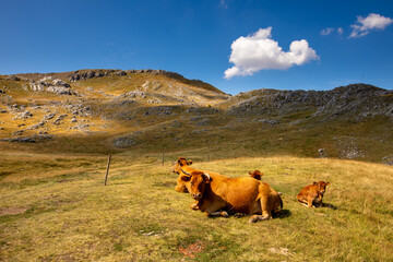 Fototapeta premium Visočica Mountain in Bosnia and Herzegovina