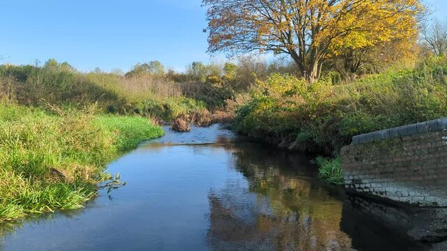 A peaceful river on a sunny day, The river Colne in Watford