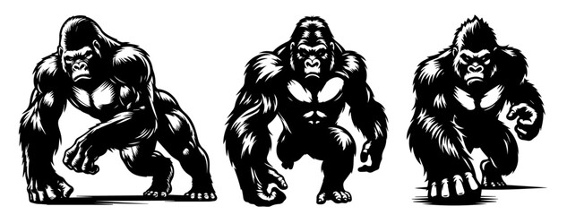 gorilla chimpanzee vector animal monkey