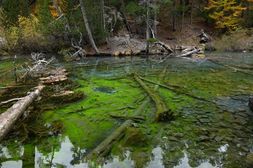 Lac Vert à Névache (05)