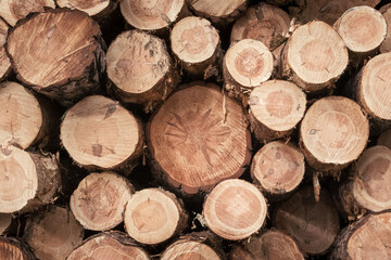 Stacked Cut Logs in Vinuesa - High-Quality Woodpile for Forestry and Logging Industry