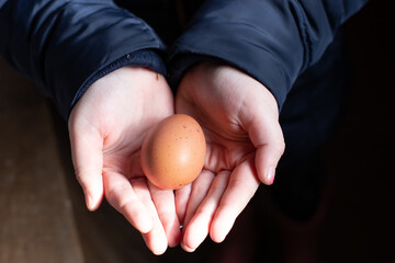 hand holding a egg