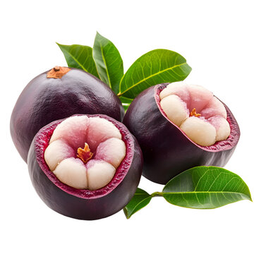 Ripe purple plums with green leaves isolated on a white background