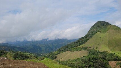 La deforestación y la minería ilegal está destruyendo nuestro planeta  © LuisGonzaga